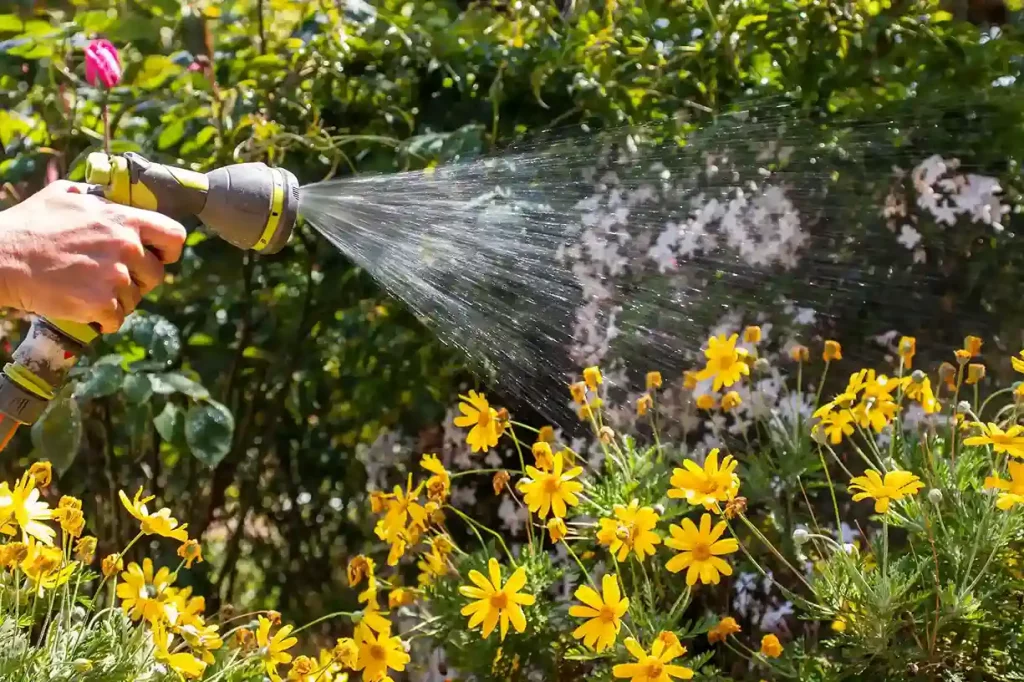 Comment bien arroser son jardin : les erreurs courantes à éviter