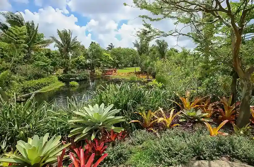 Les meilleures plantes pour un jardin tropical : créez un havre de verdure exotique