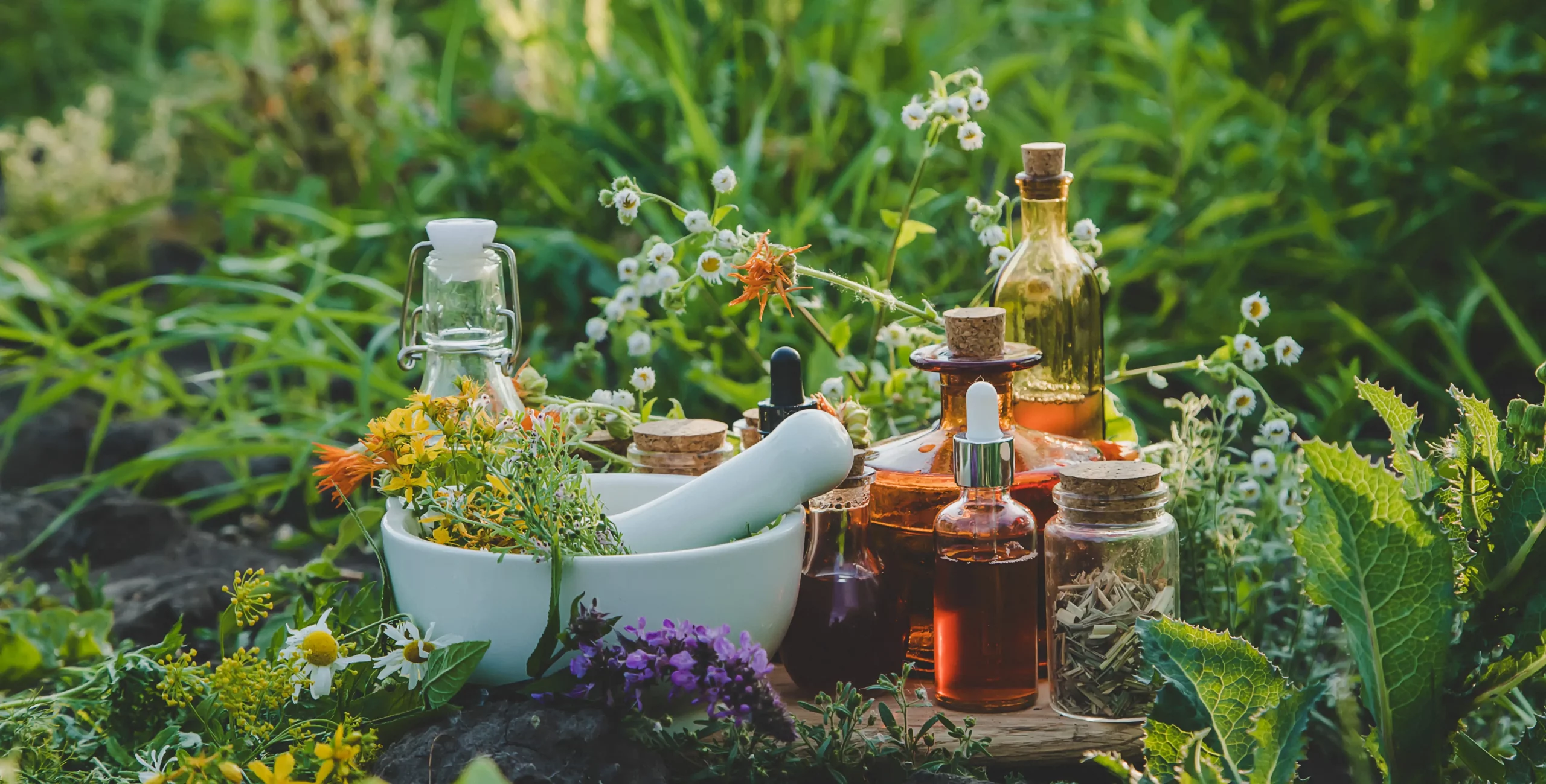 Un ensemble de plantes médicinales, de fleurs et de fioles d’huiles naturelles disposées en plein air. La scène évoque la préparation de remèdes traditionnels et le lien avec la nature.