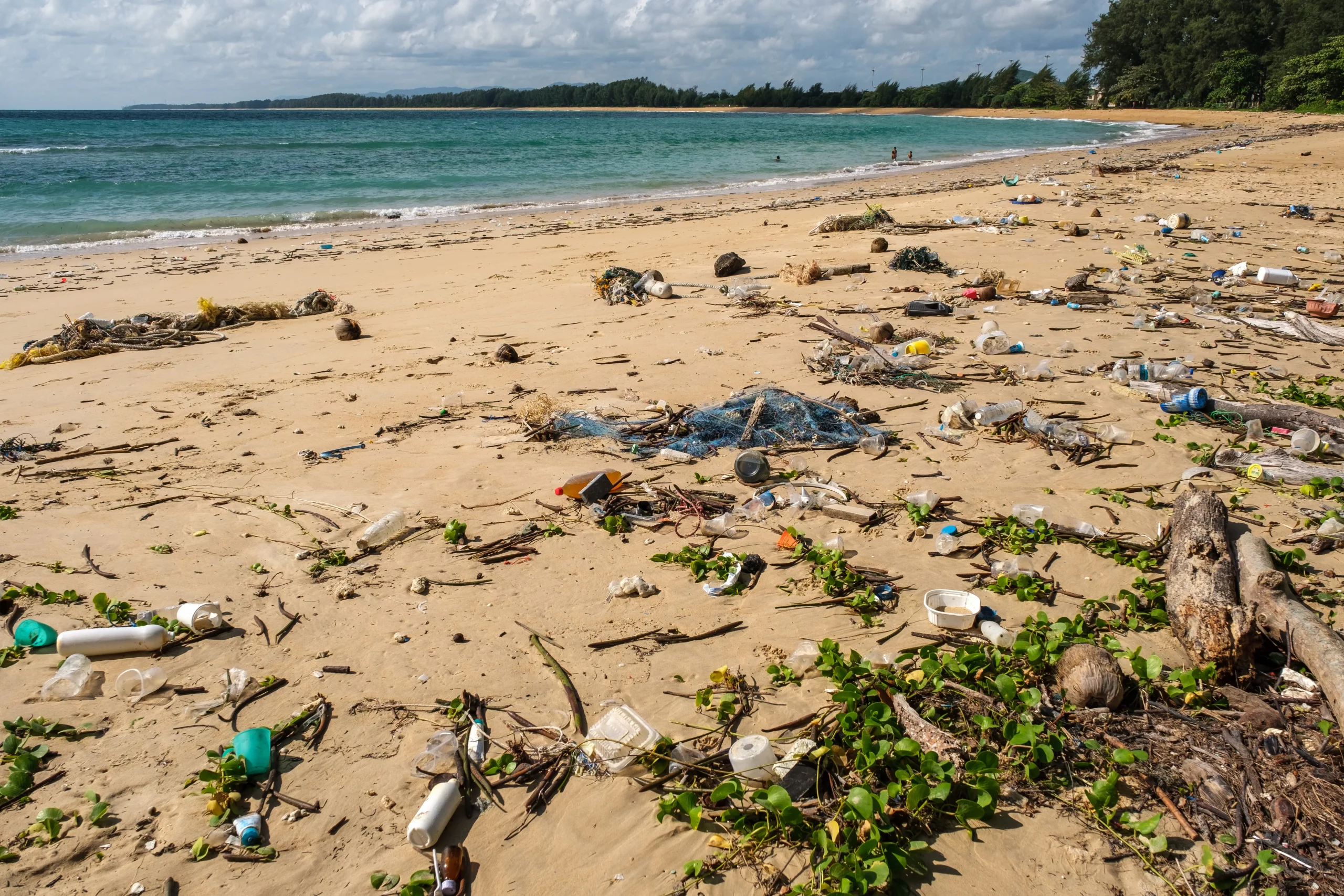 Une plage tropicale couverte de déchets plastiques et de débris ramenés par la mer. Malgré le paysage naturel et l’eau claire, la pollution montre l’impact humain sur l’environnement. Nom de l’image :