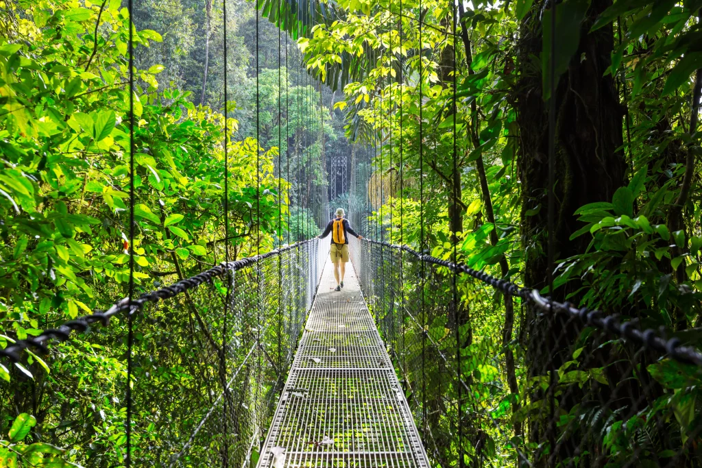 un homme qui marche sur un petit pont en métal entouré d'arbres au milieu d'une forêt tropicale