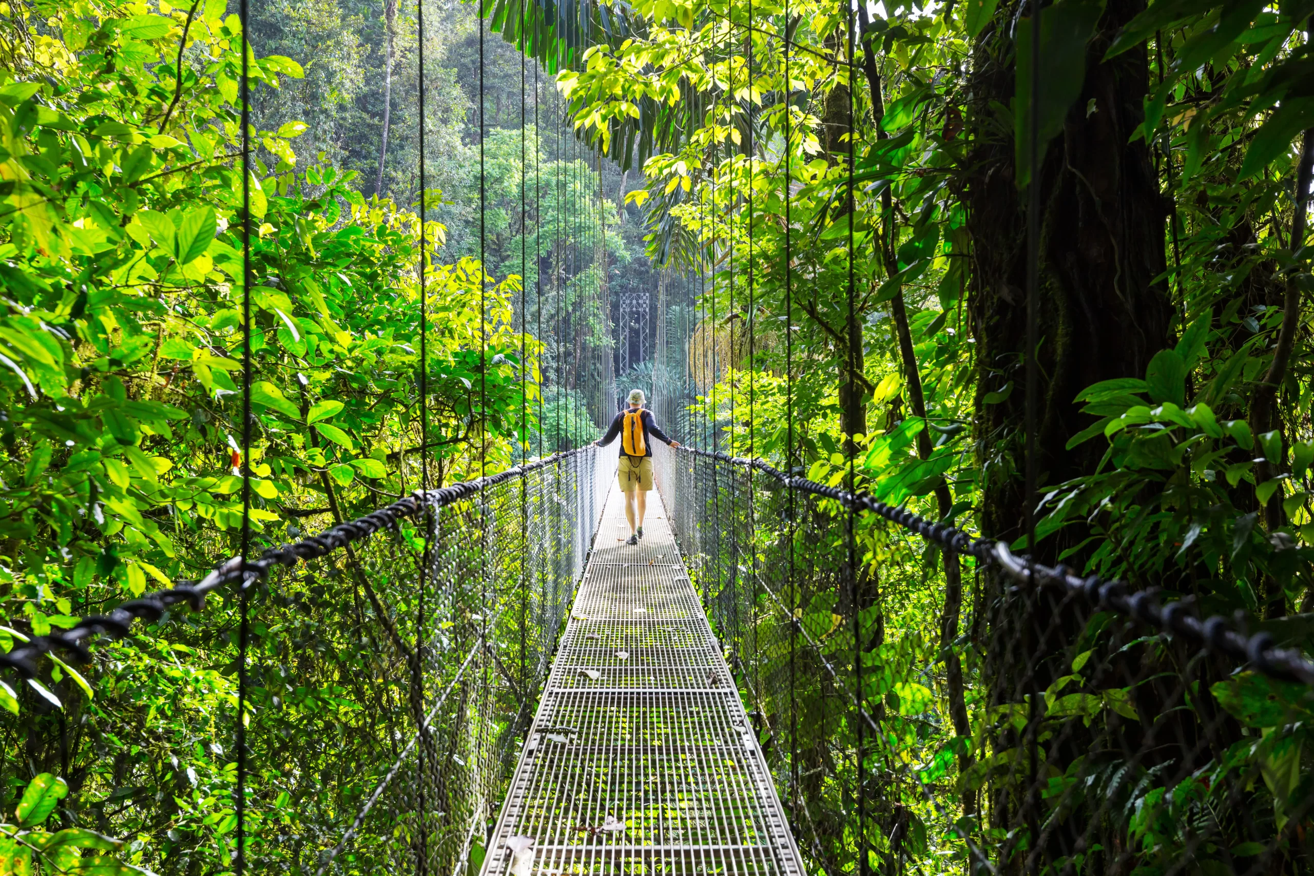 un homme qui marche sur un petit pont en métal entouré d'arbres au milieu d'une forêt tropicale