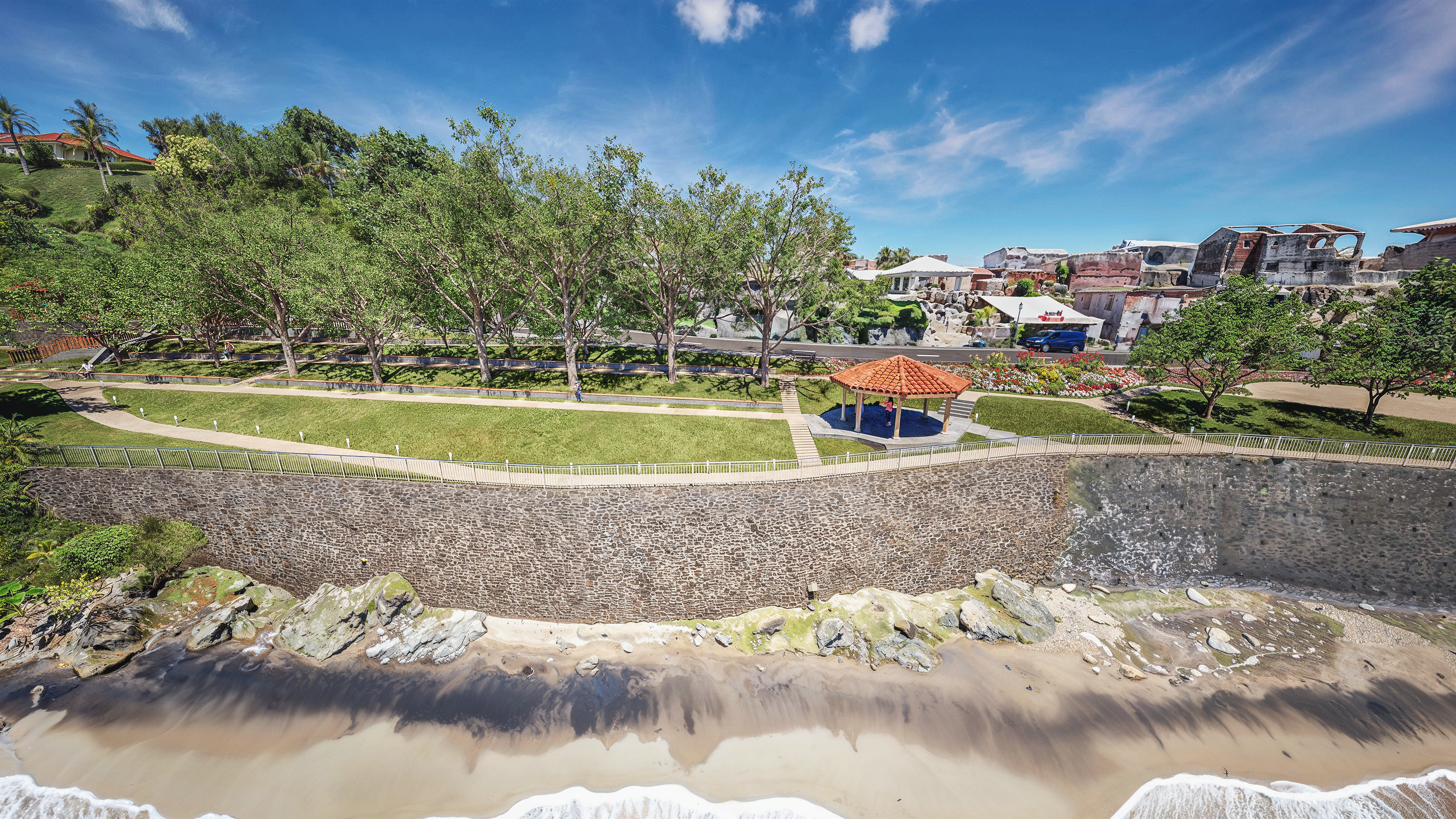 mangrove protégeant un littoral tropical en Martinique